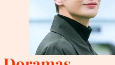 Doramas com o Ator Seo In Guk
