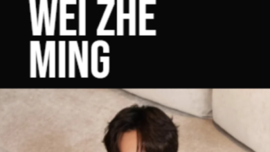 5 Doramas com Wei Zhe Ming: O Queridinho dos Cdramas