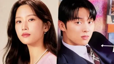 Meu Querido Nêmesis