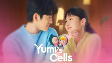 Yumi's Cells 3ª Temporada Confirmada: Tudo o Que Sabemos Até Agora